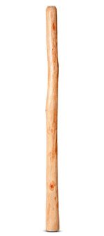 Medium Size Natural Finish Didgeridoo (TW461)